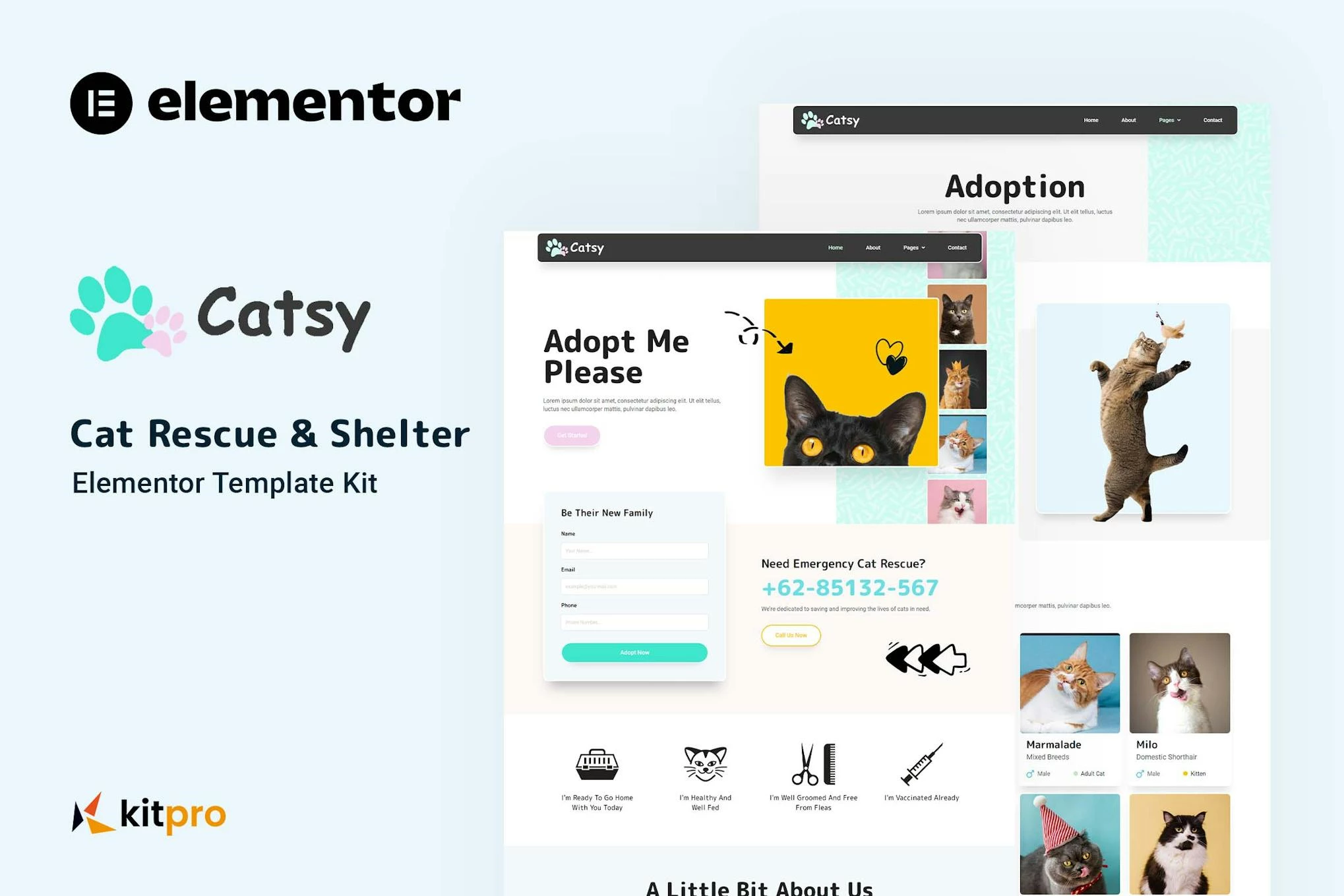 Catsy - Kit de plantillas Elementor para rescate y refugio de gatos